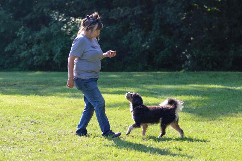 a woman walking a dog in a grassy area