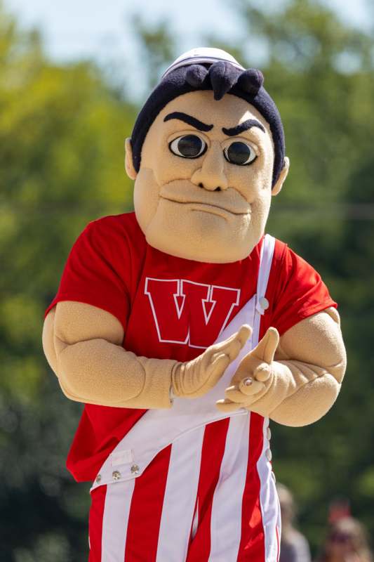a person wearing a mascot garment