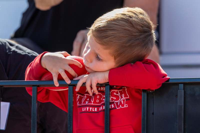 a child leaning on a fence