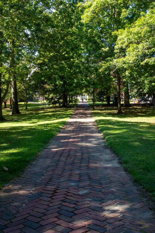 a brick path with trees and grass