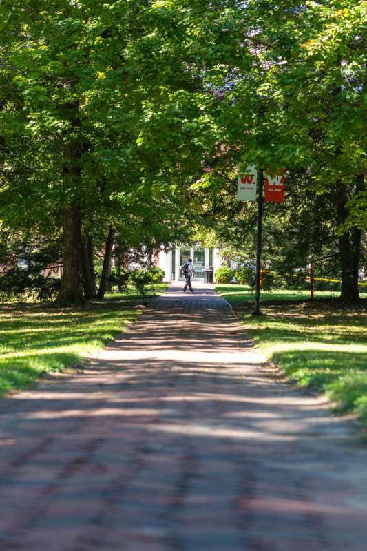 a person walking on a path with trees