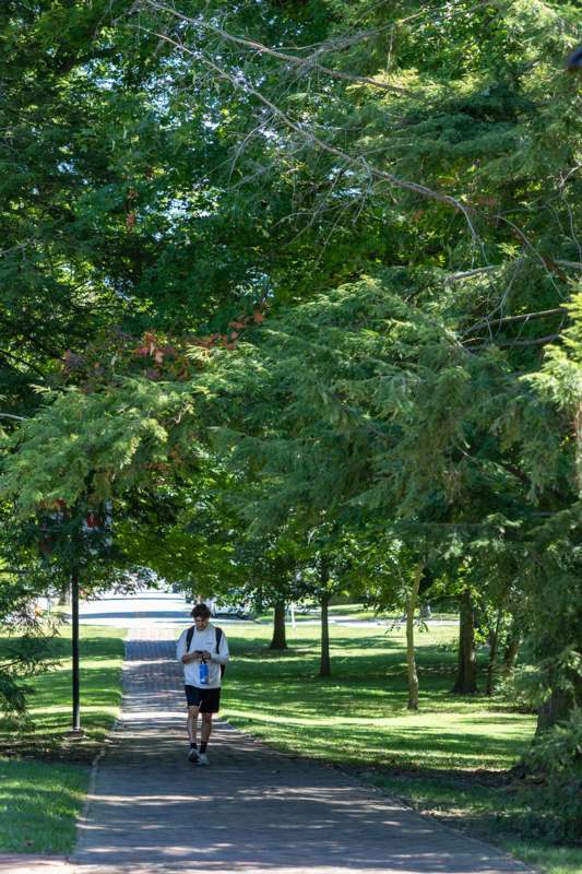 a man walking on a path under trees