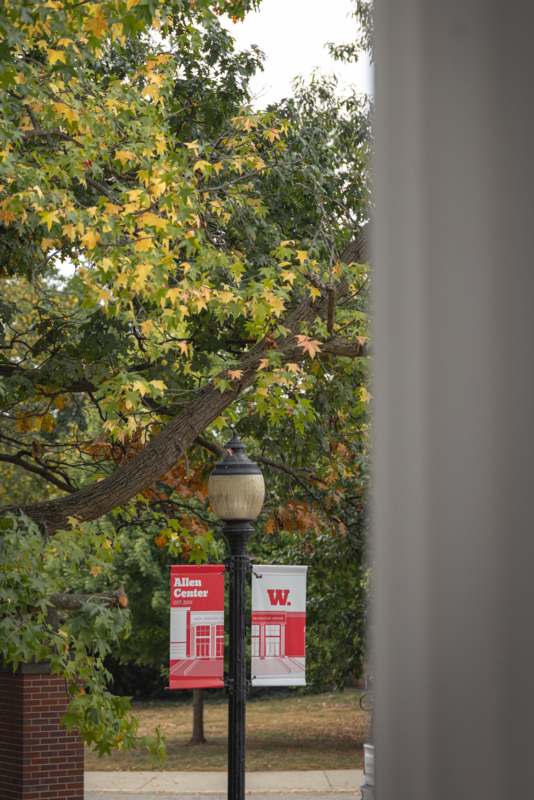 a lamp post and tree