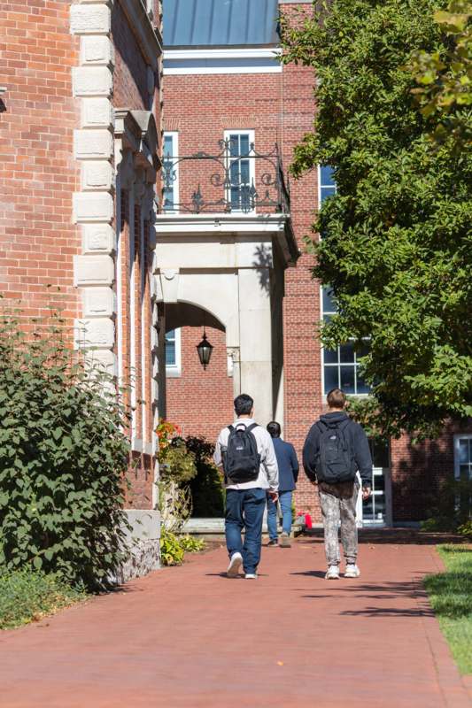 a group of people walking down a brick walkway