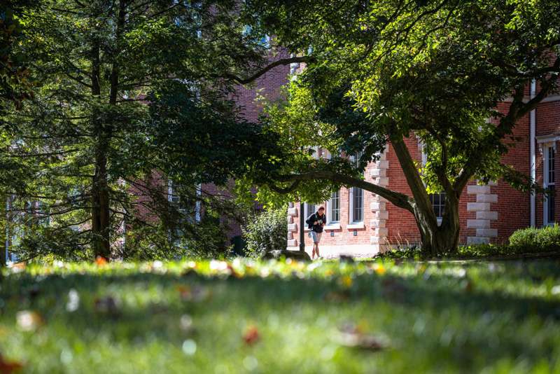 a person walking in a park