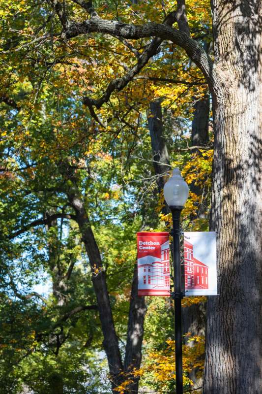 a sign on a pole next to a tree